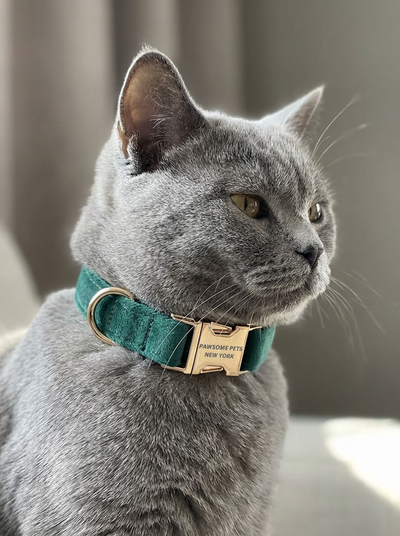 Cat Collars