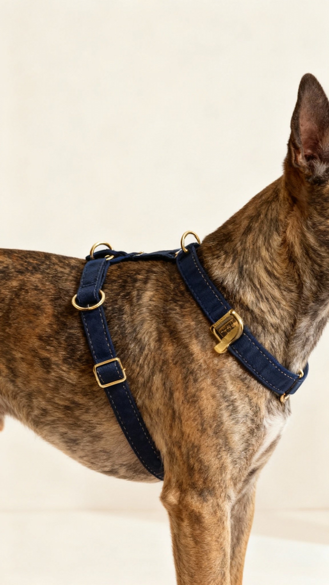 The Step-In Harness – Navy Blue