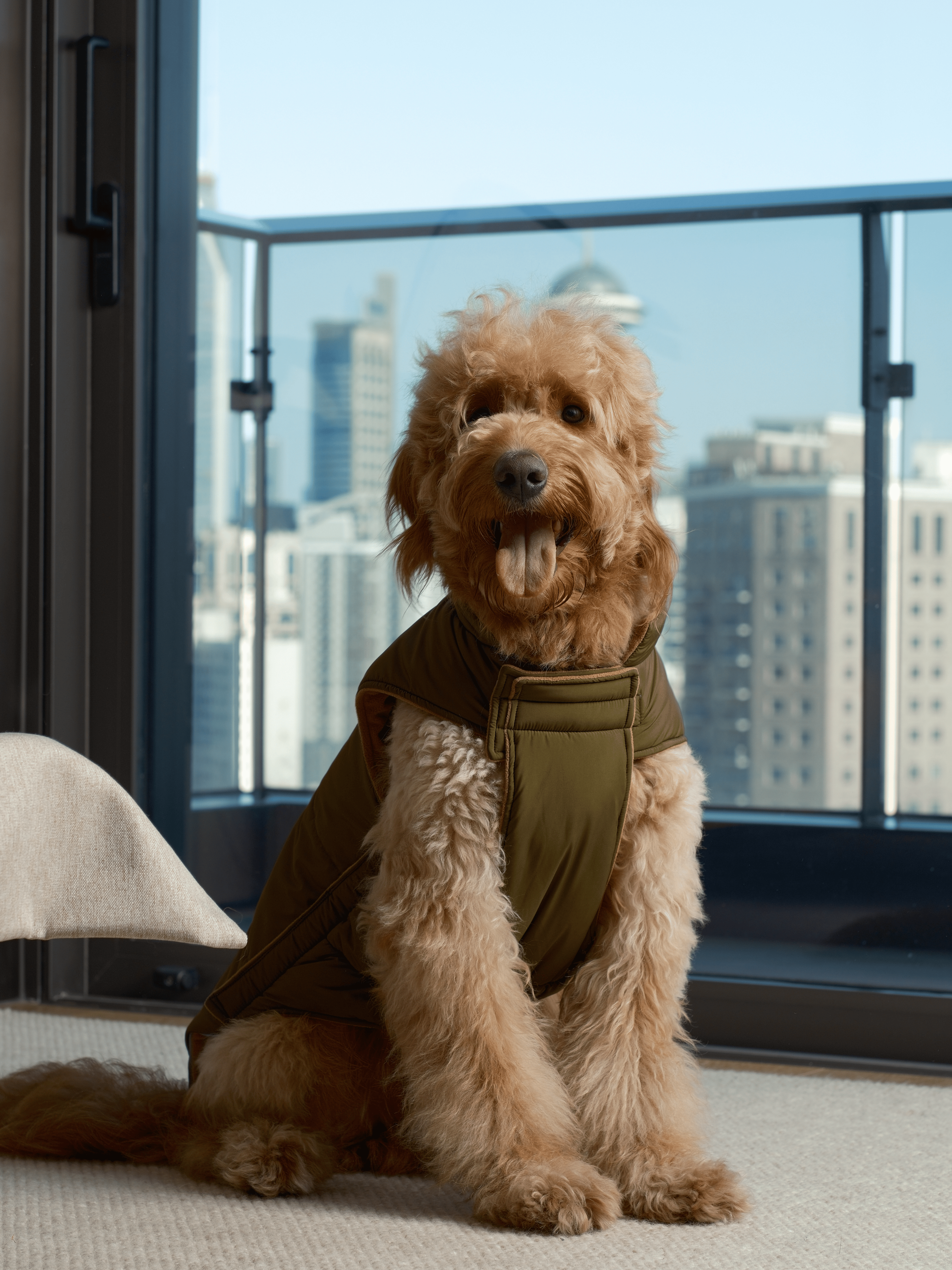 The Reversible Vest Jacket – Green & Brown