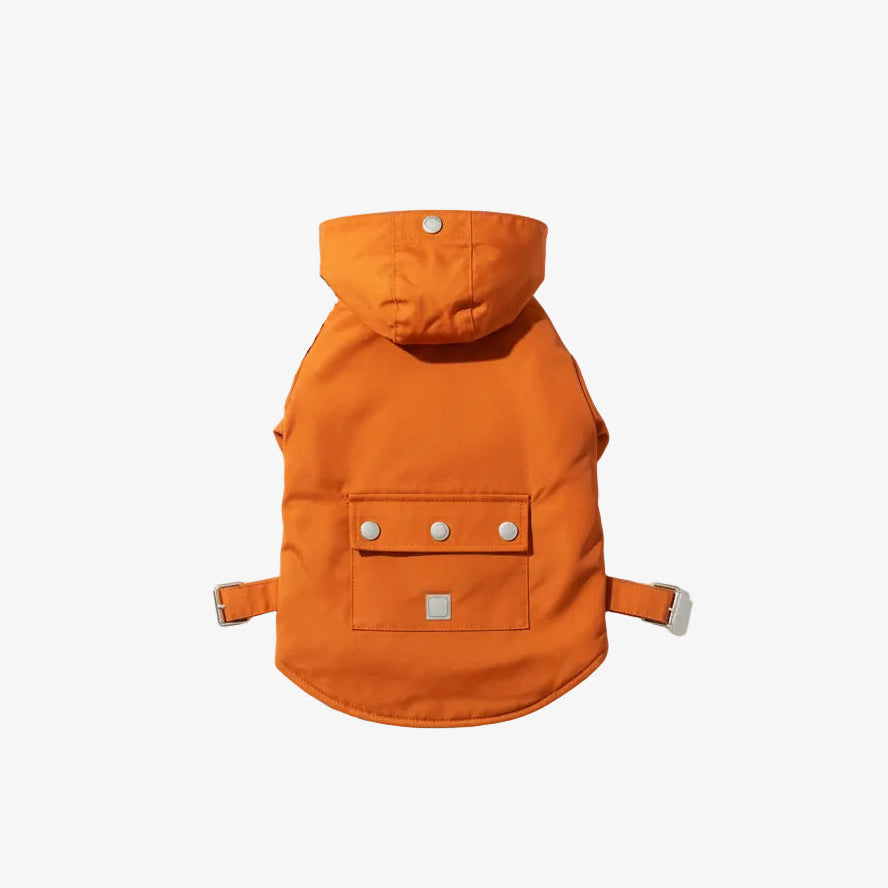 orange pet coat with neutral background