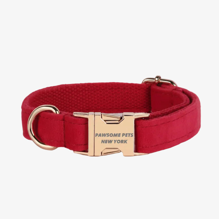 Red dog collar with gold buckle on a reflective surface and pink gradient background