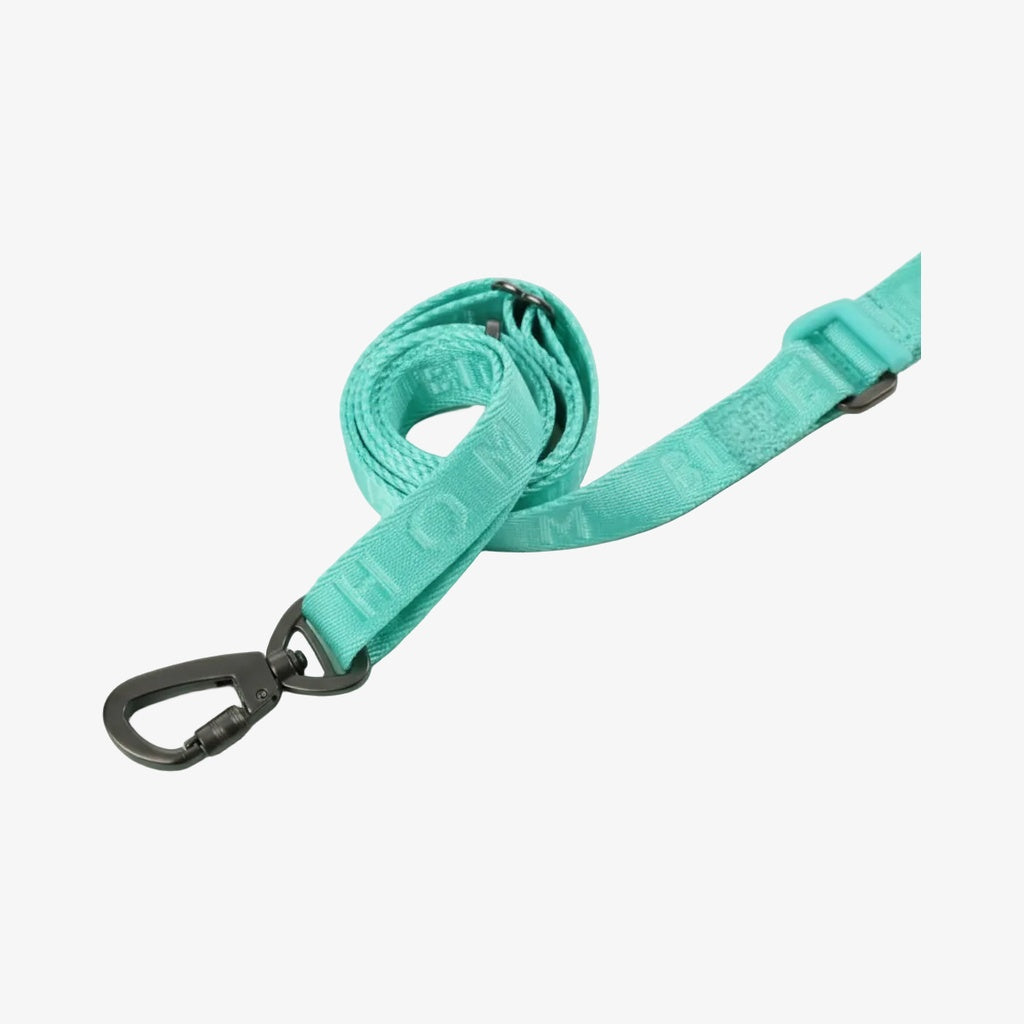 The Padded Active Leash – Mint Green