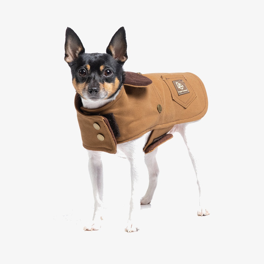 DCNY Canyon Brown Working Coat