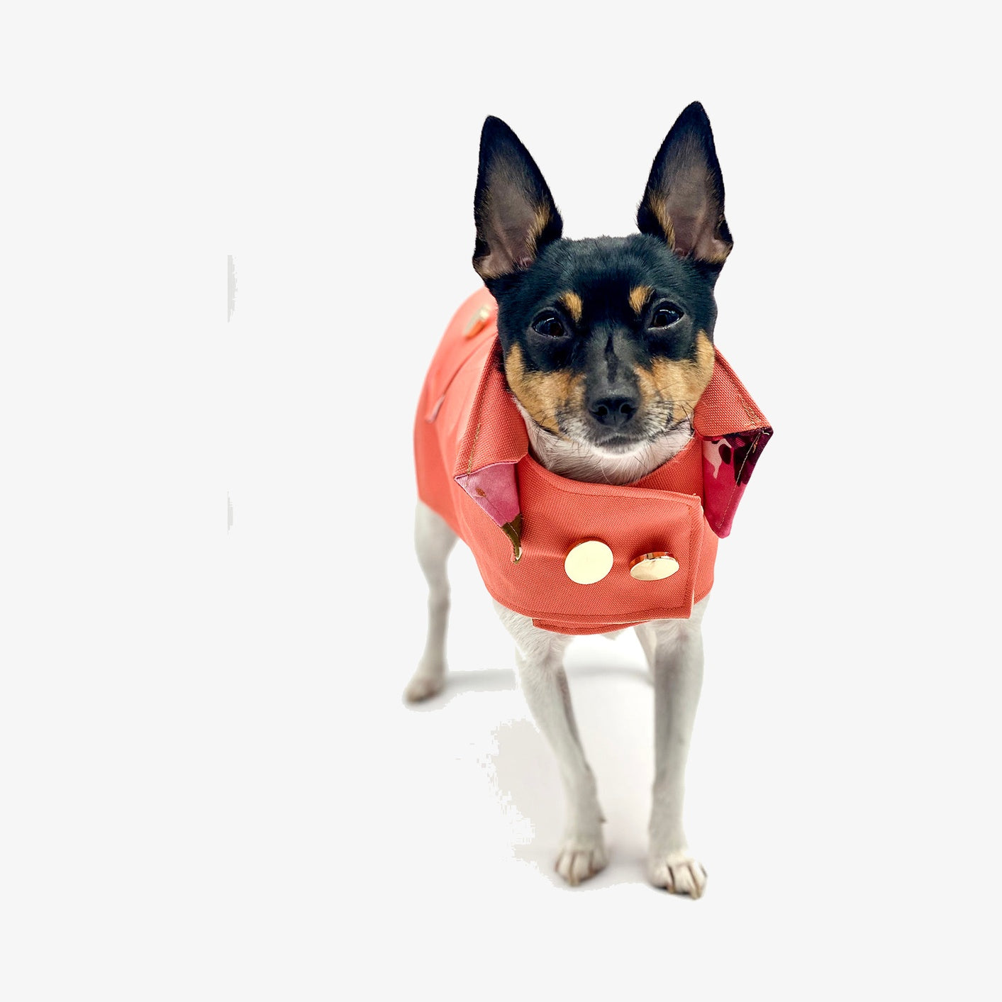 DCNY Coral Trench Coat With Peachskin Lining