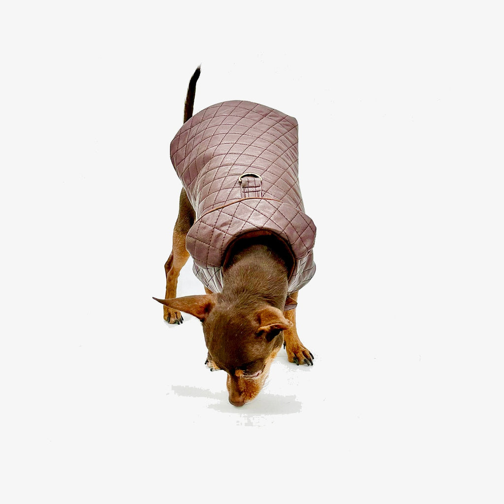 DCNY Quilted Vegan Chocolate Leather Coat