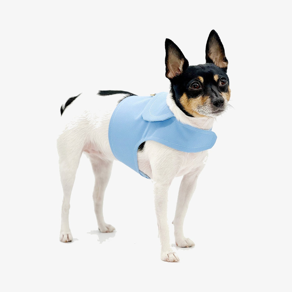 Periwinkle Harness Vest