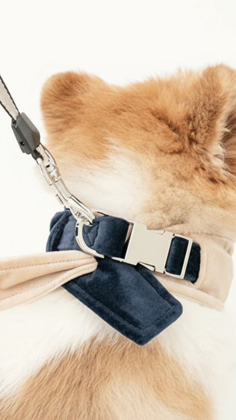 The 2-in-1 Bandana Collar – Beige & Blue