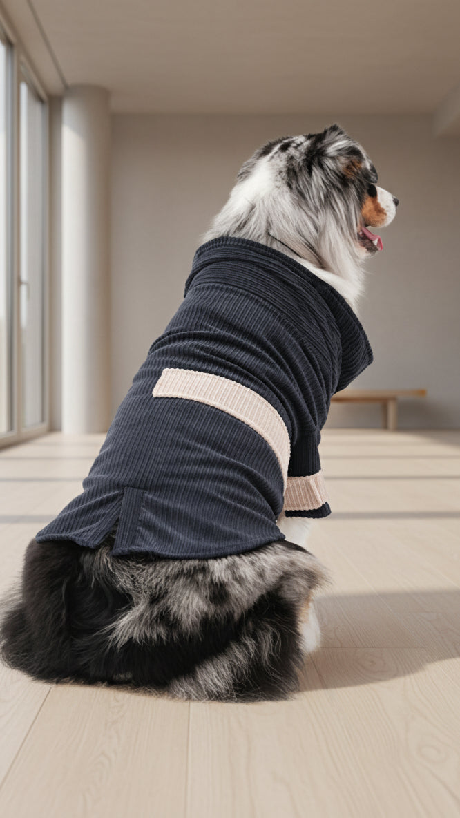 The Rope Shirt – Blue & Beige