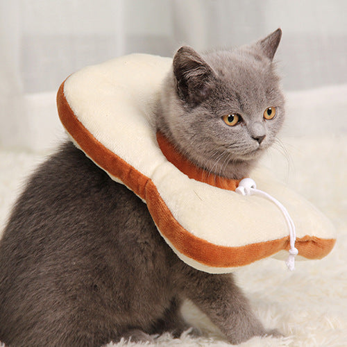 The Recovery Bread Collar – Comfortable Anti-Bite Design