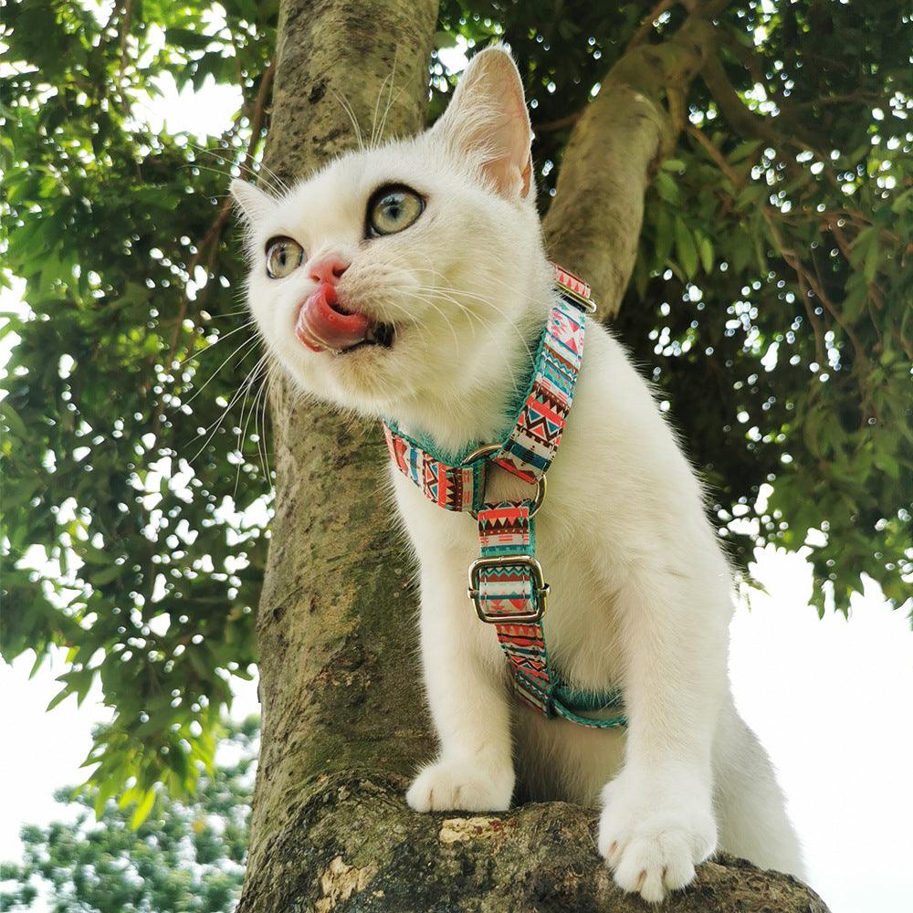 STEP IN HARNESS - TROPICAL