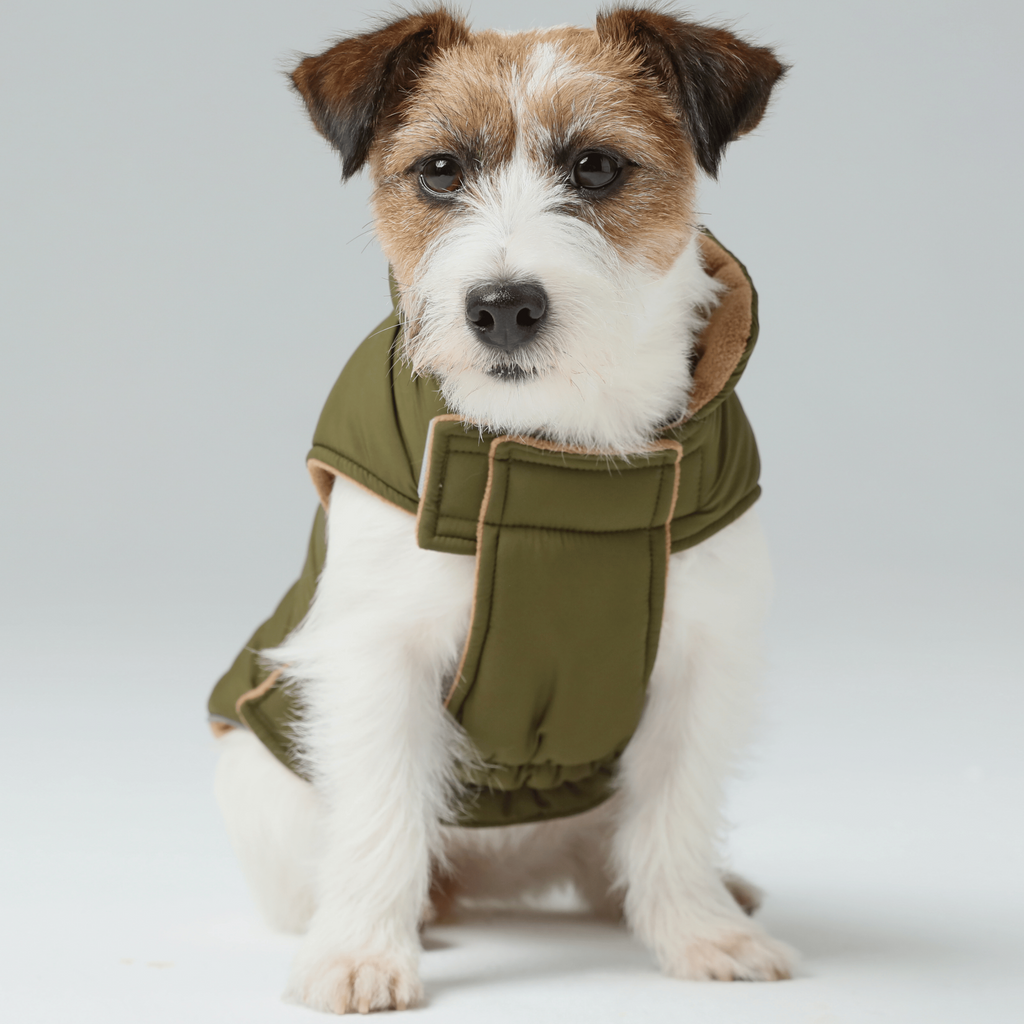 The Reversible Vest Jacket – Green & Brown