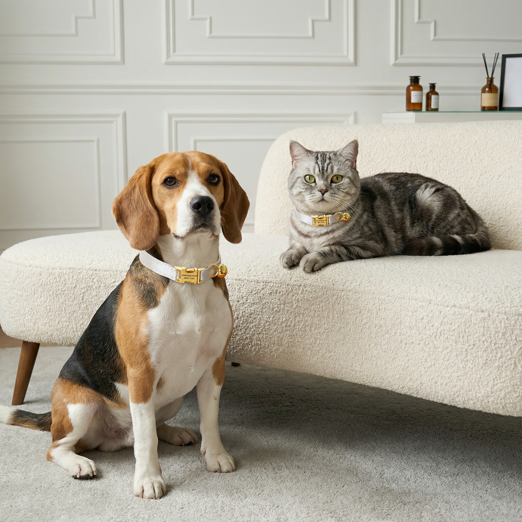 Small Dog & Cat Collar – Silver