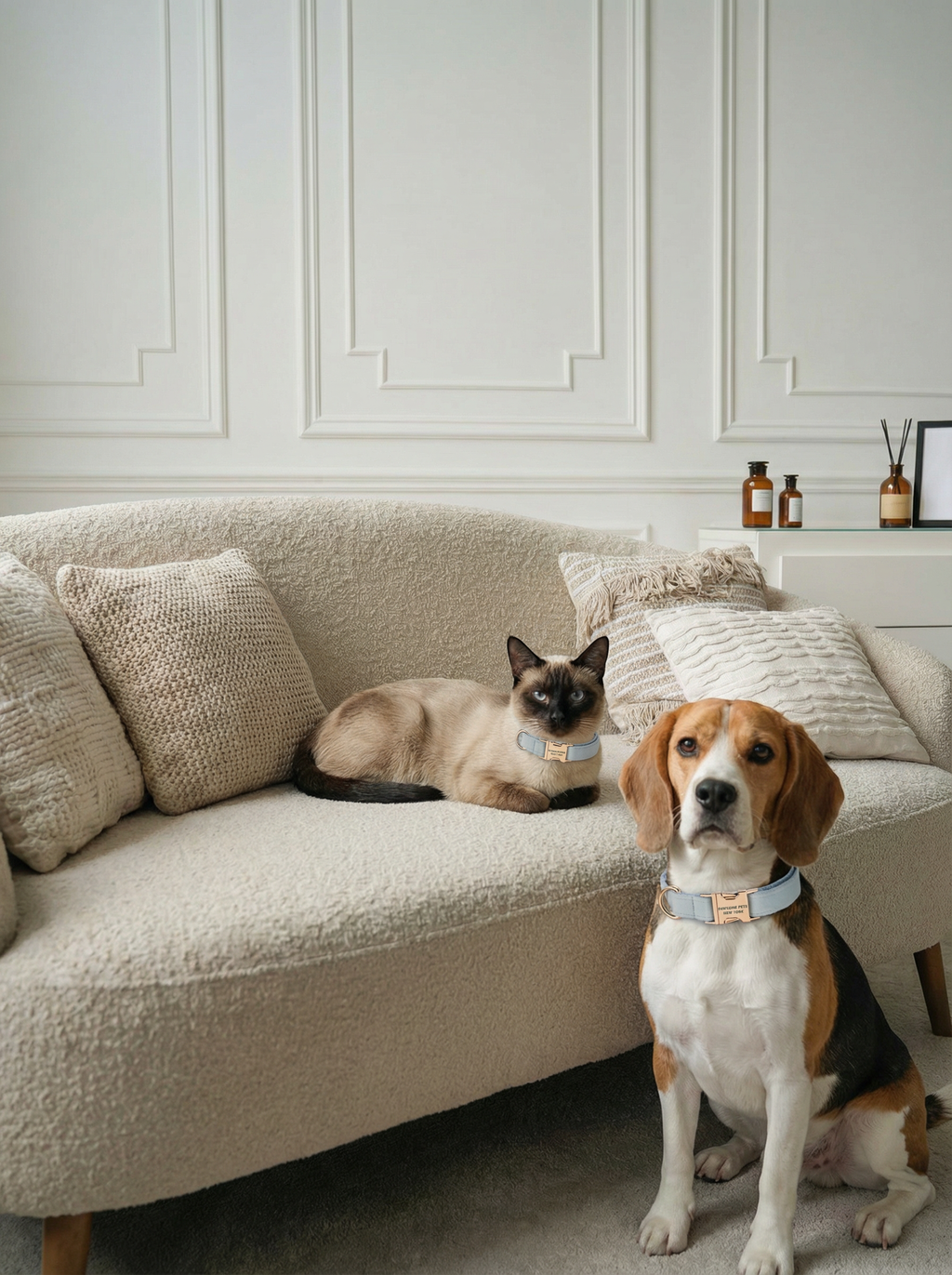 Dog & Cat Collar Yorkshire Cloud