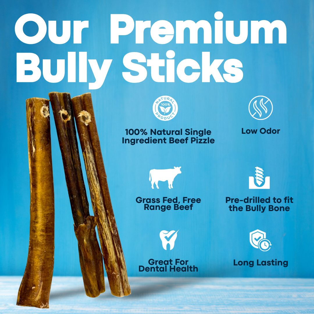 7" Jumbo Bully Sticks - Bully Bone Included-3