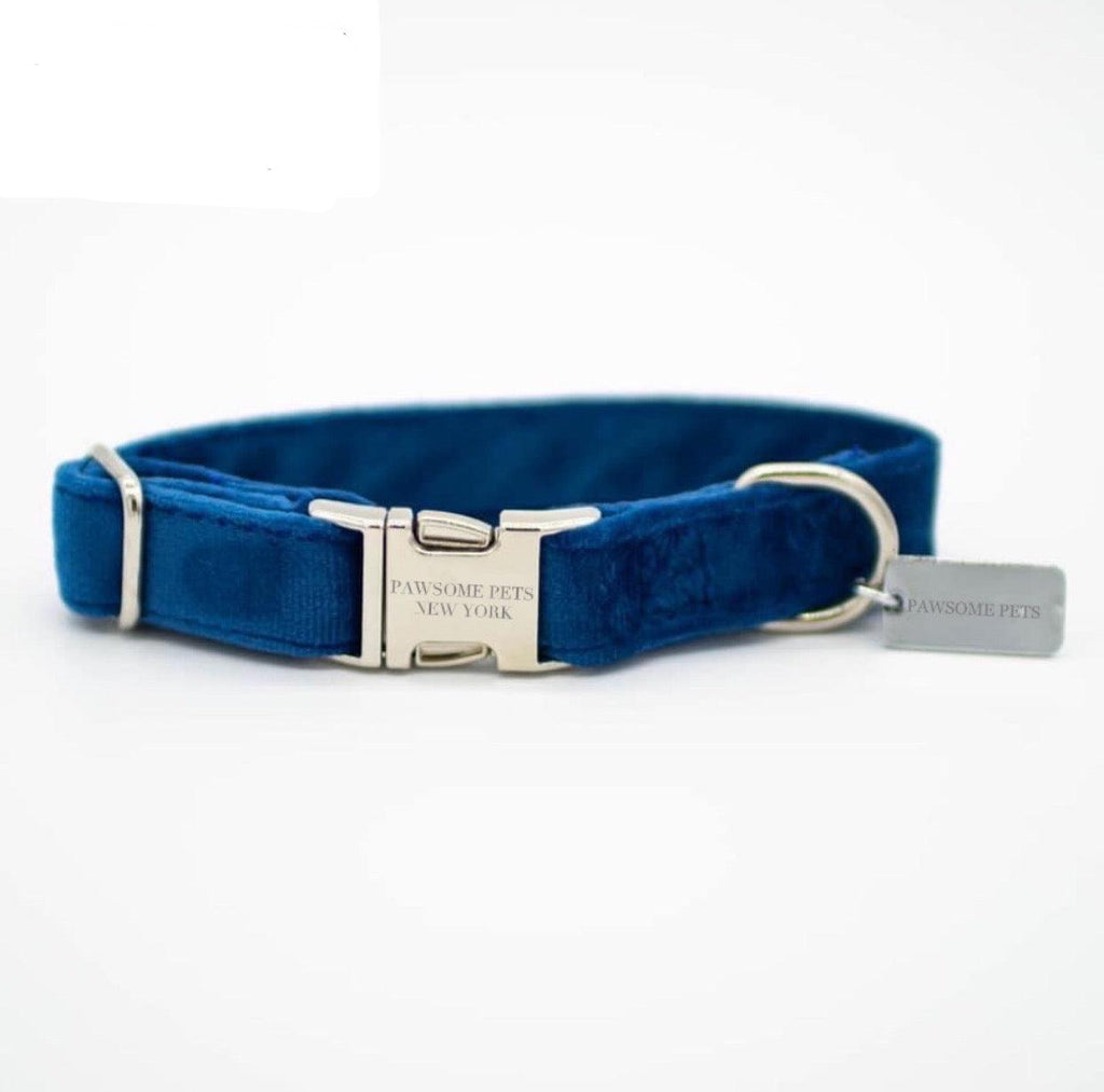 SMALL SIZE DOG & CAT COLLAR - DARK BLUE VELVET-0