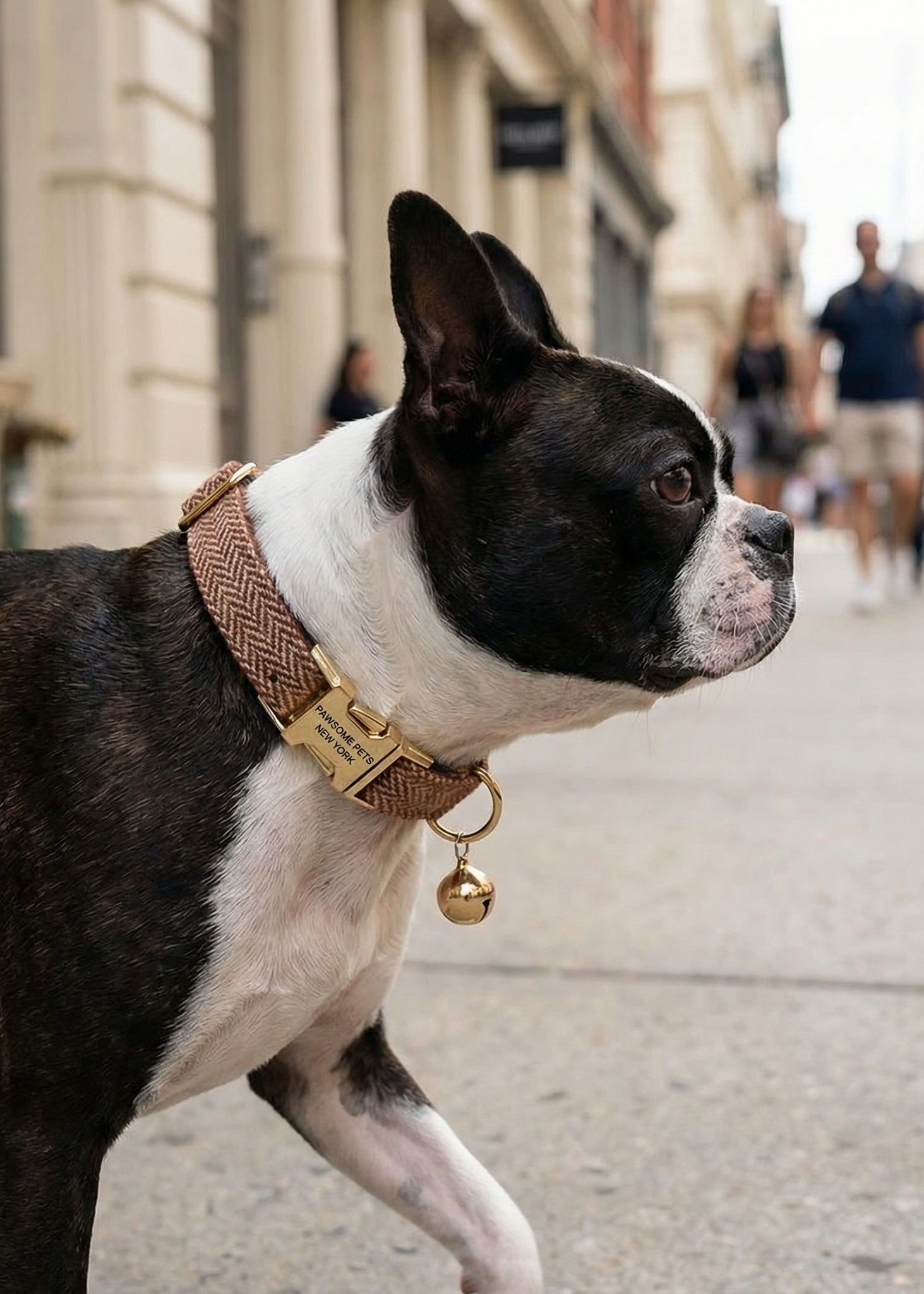 Small Dog & Cat Collar – Auburn