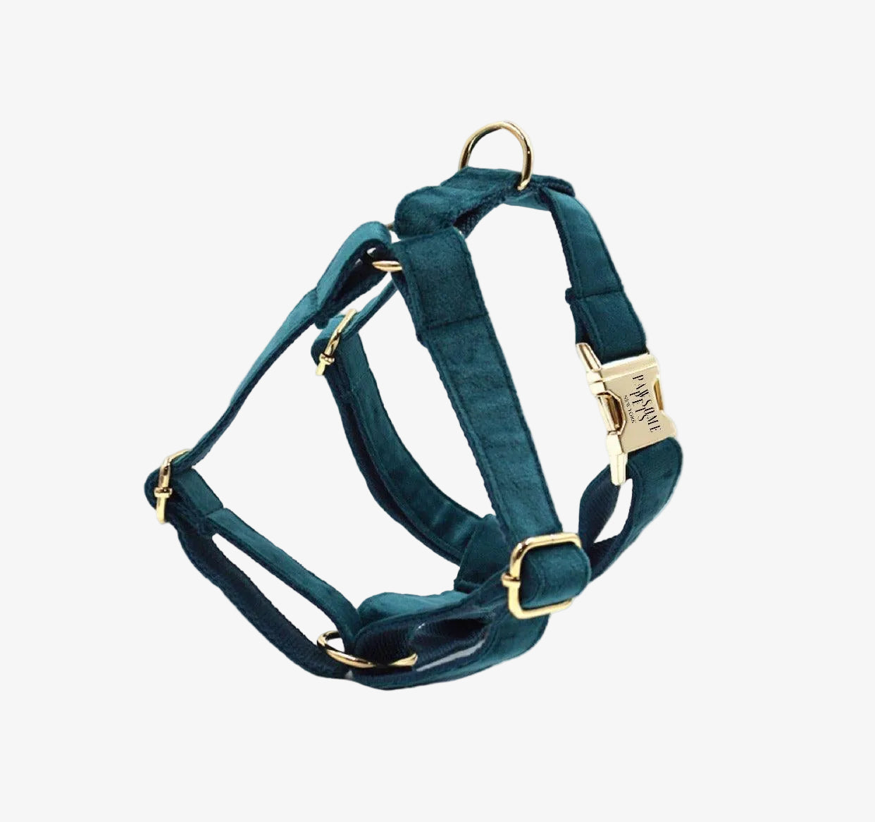 Teal dog harness with gold hardware on a white background