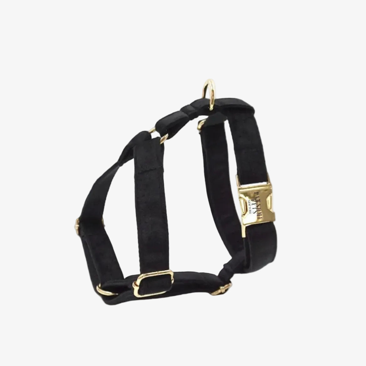 Black dog harness with gold hardware on a white background