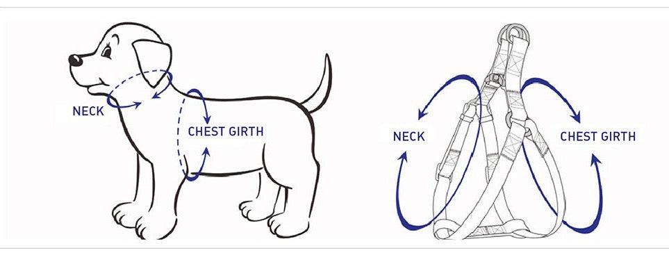 STEP IN HARNESS - LIGHT GREY