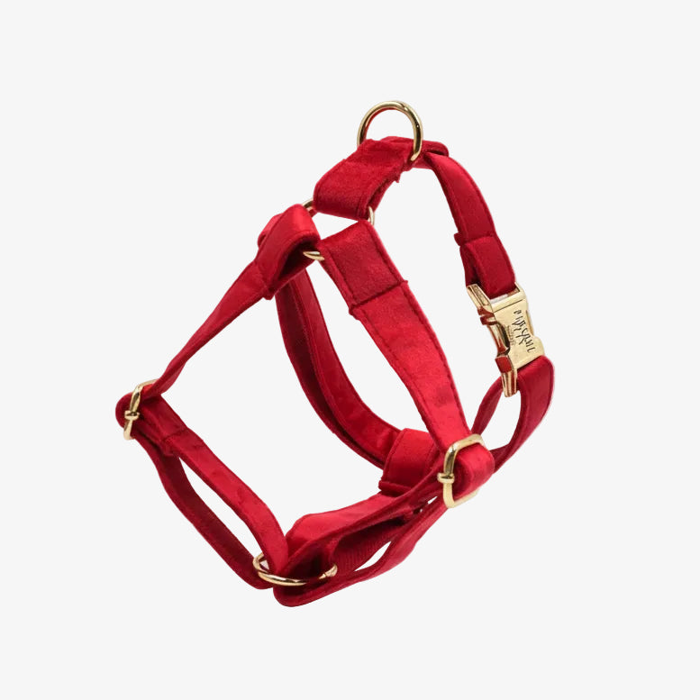 Red pet harness with gold hardware on a white background, branded 'Pawsome Pets New York'.