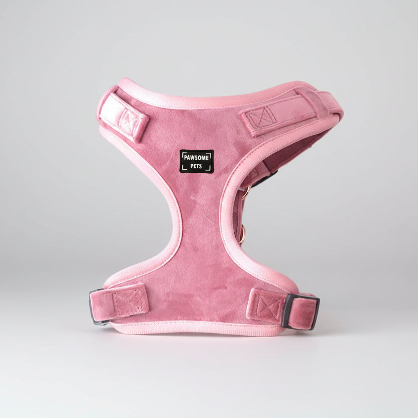 Adjustable Harness  Blossom