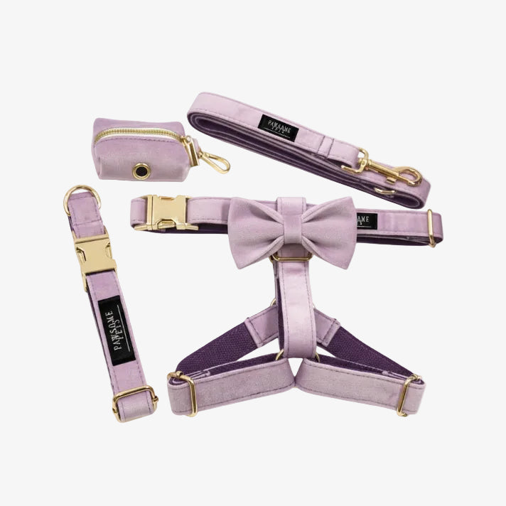 STEP IN BUNDLE - LIGHT PURPLE (5 PIECES)-0