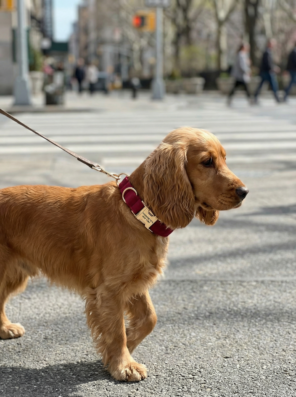 Dog & Cat Collar – Reddish Purple