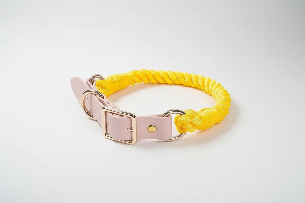 Luxe Royal Leather Rope Collar - Sunshine-0