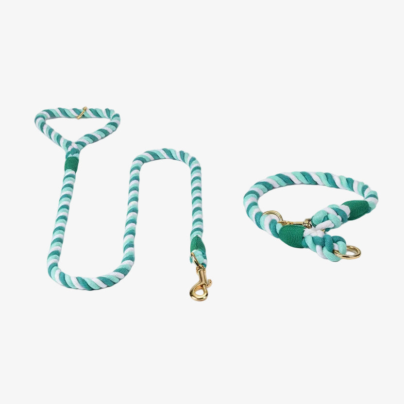 Dog Rope Leash and Collar Set - Forest Love-0