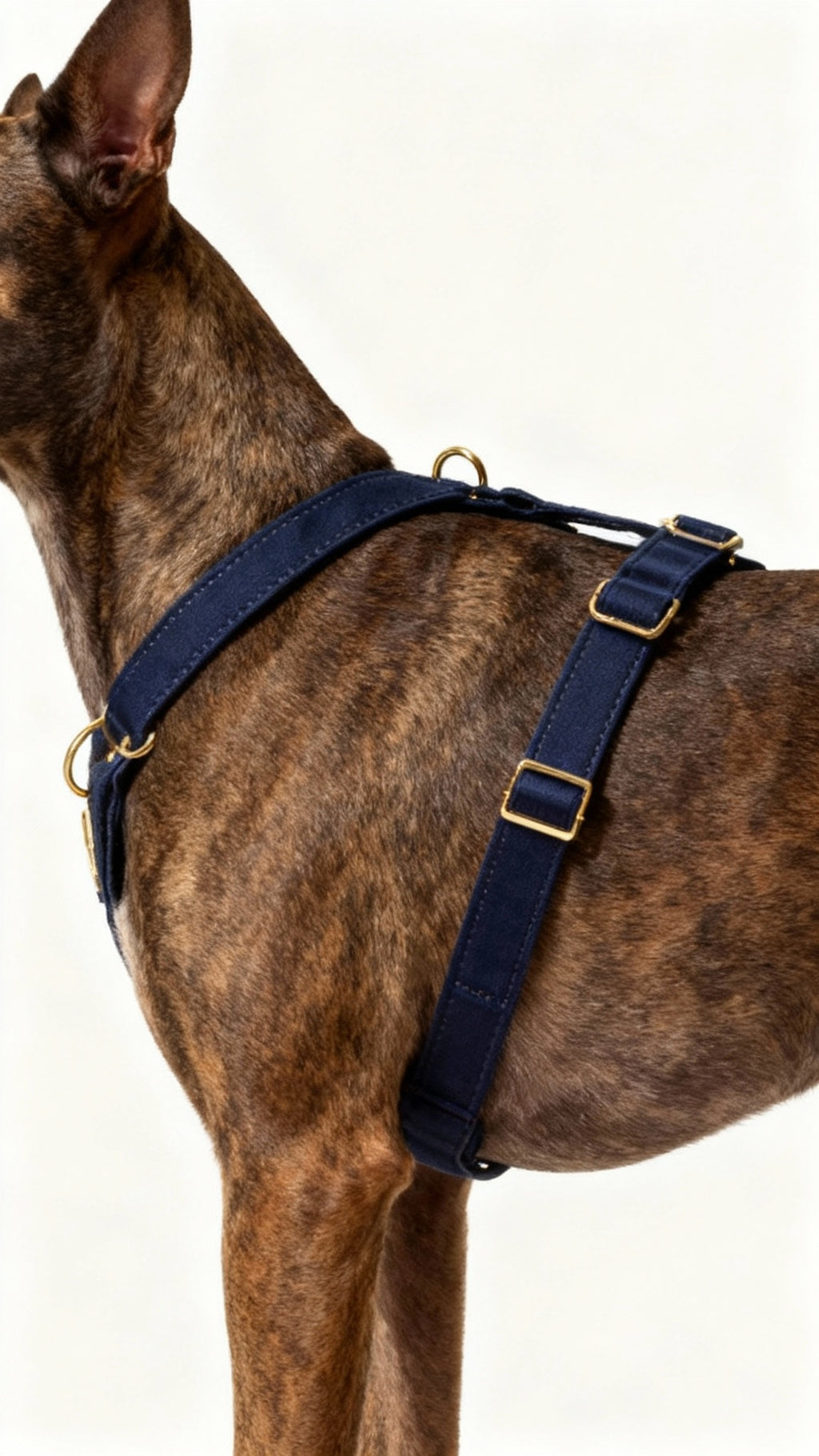 The Step-In Harness – Navy Blue