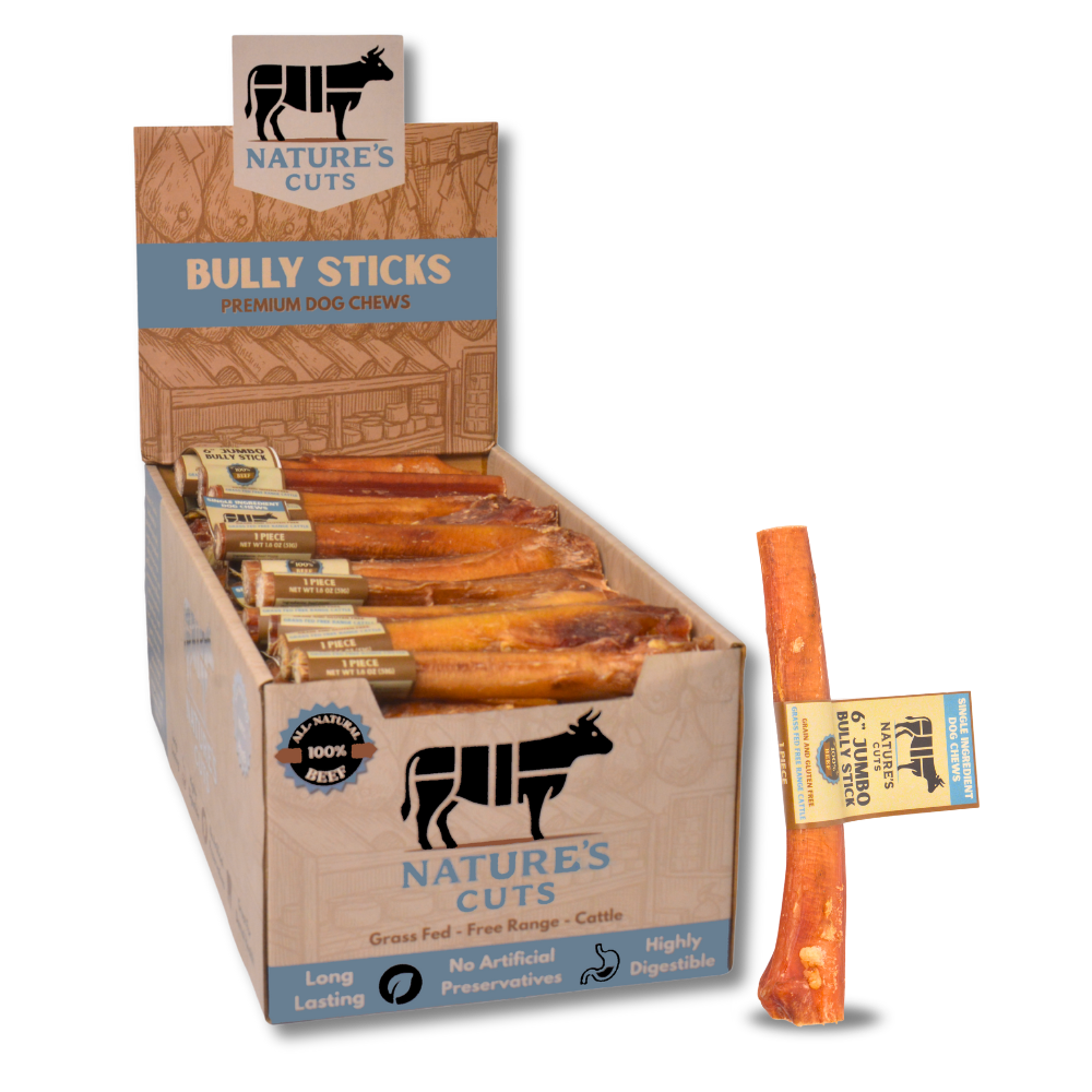 6" Jumbo Bully Sticks Display Box
