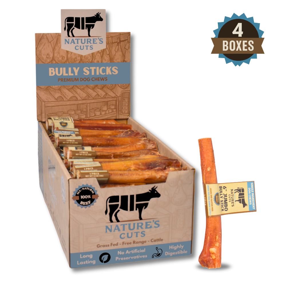6" Jumbo Bully Sticks Display Box-6