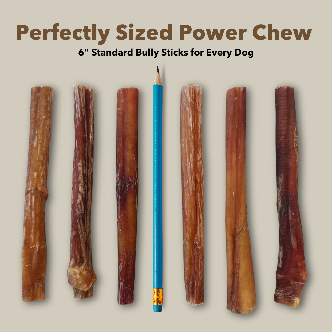 6" Standard Bulk Bully Sticks
