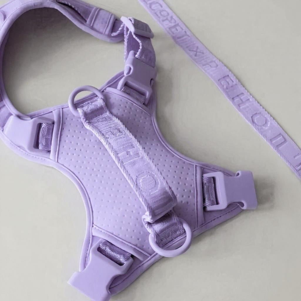 The No-Pull Active Harness – Mint Purple