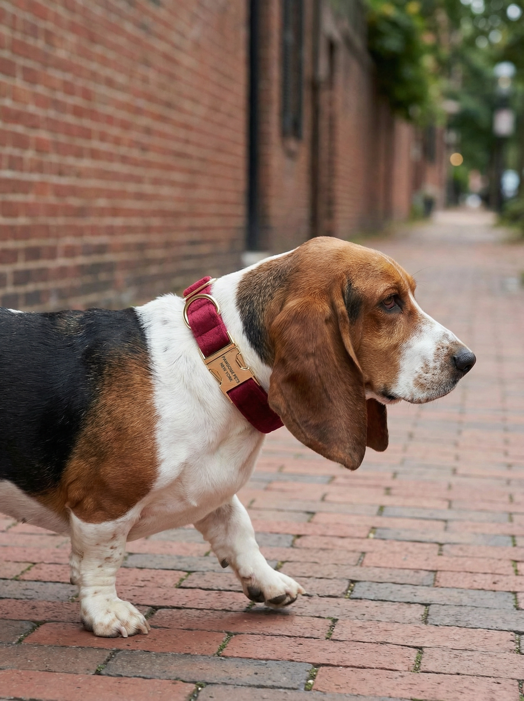Dog & Cat Collar – Reddish Purple