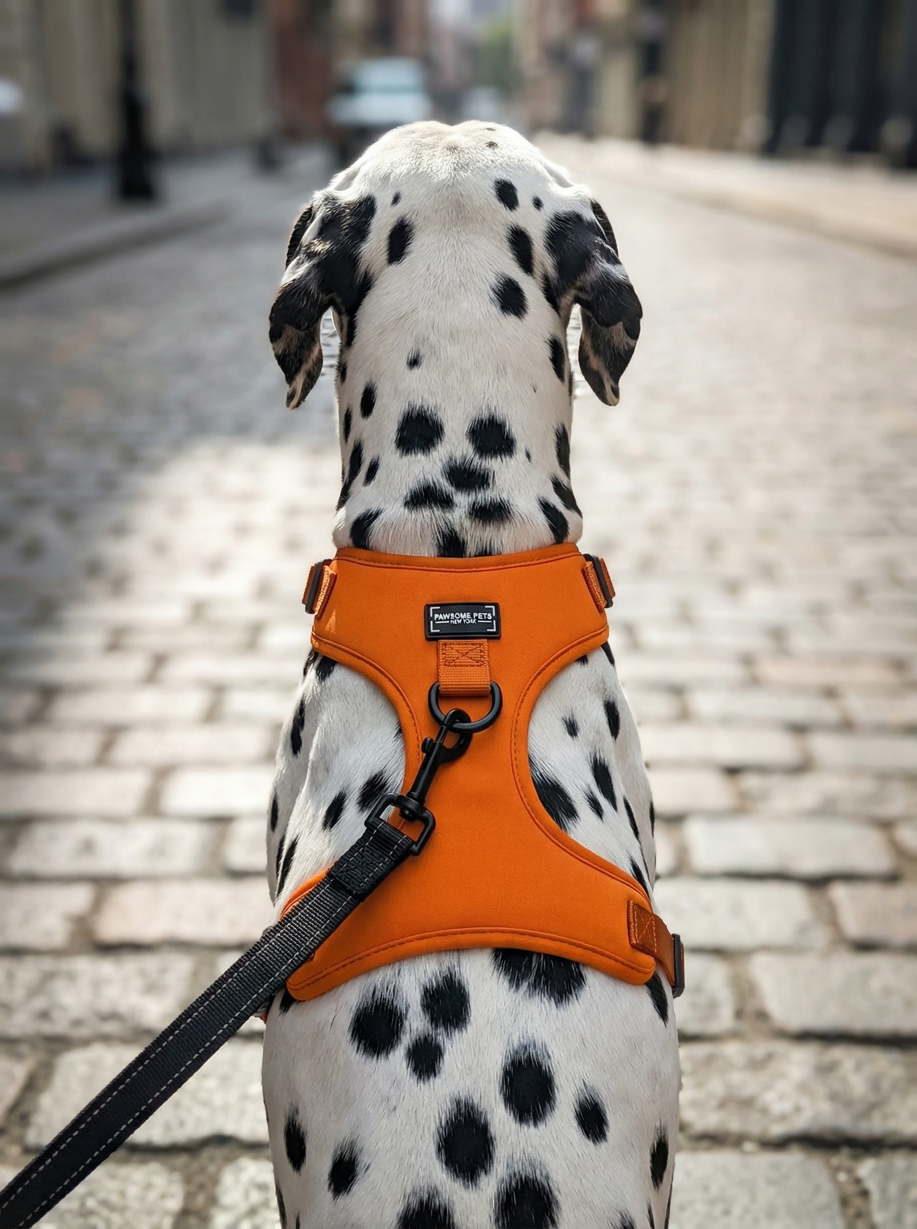 Adjustable Silk Harness Orange
