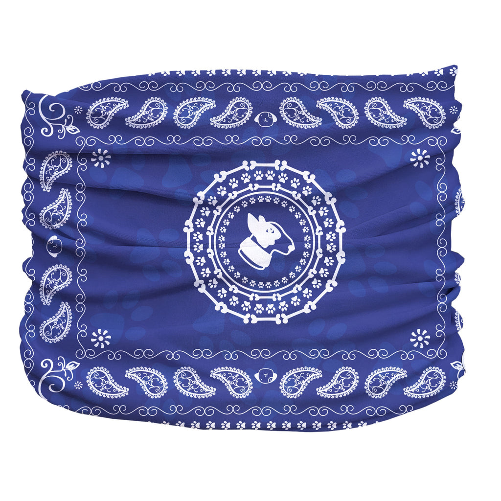 Blue Bandana Pup Scruff-1