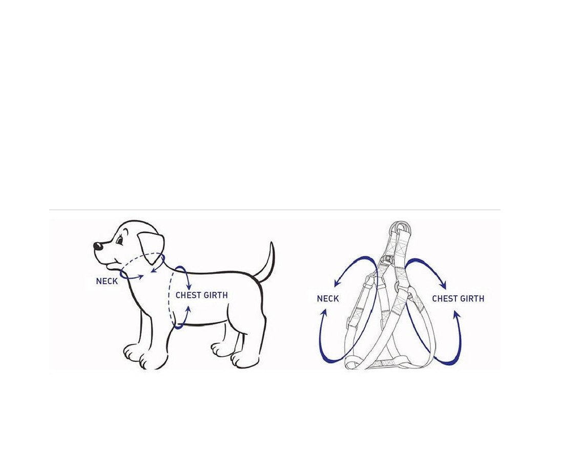 The Rope Leash – Doe