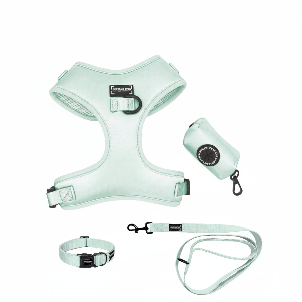 The Signature Walking Set – Mint Green (5-Piece Bundle)