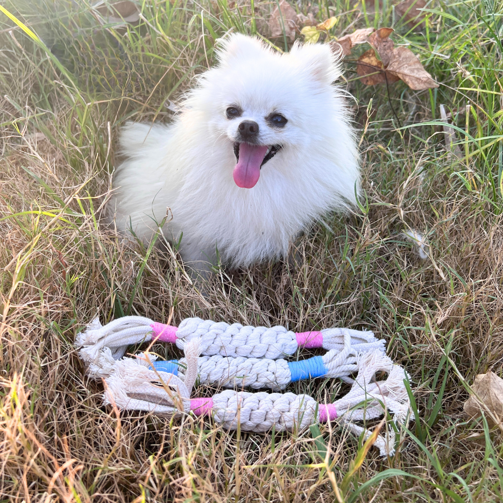 Rainbow Candy Macrame Rope Pet Toy-3