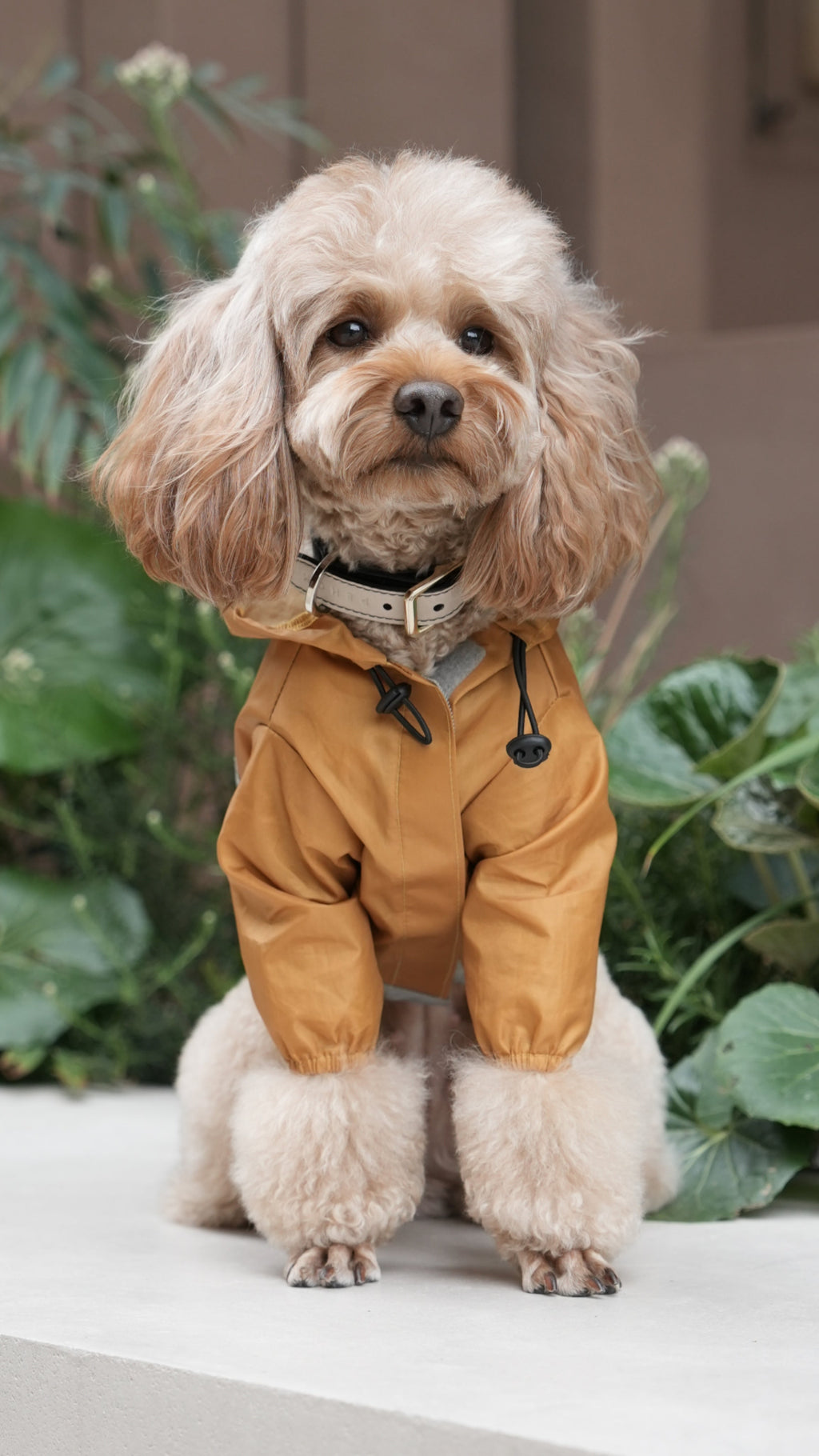 The Ultralight Waterproof Jacket – Yellow