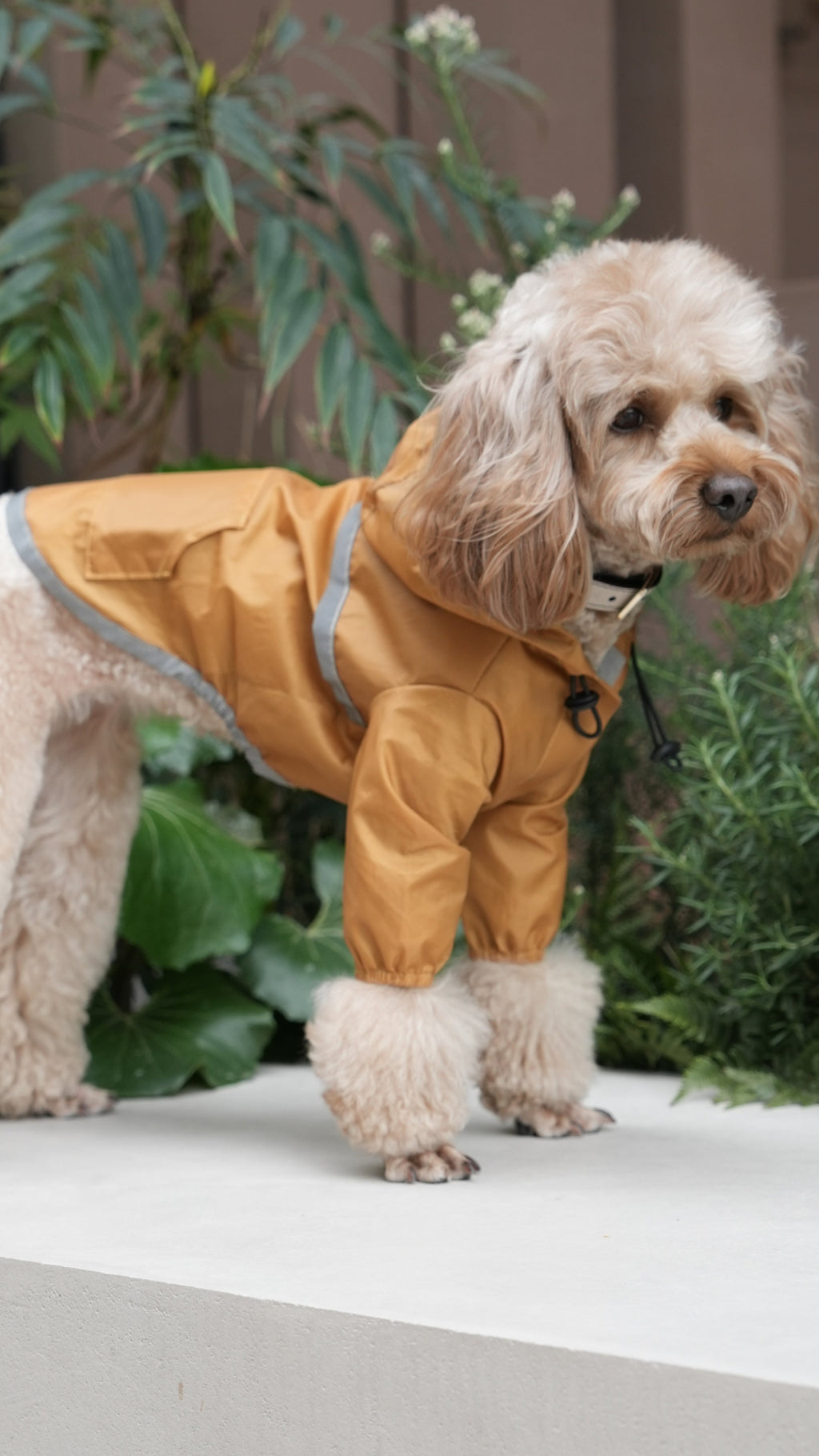 The Ultralight Waterproof Jacket – Yellow