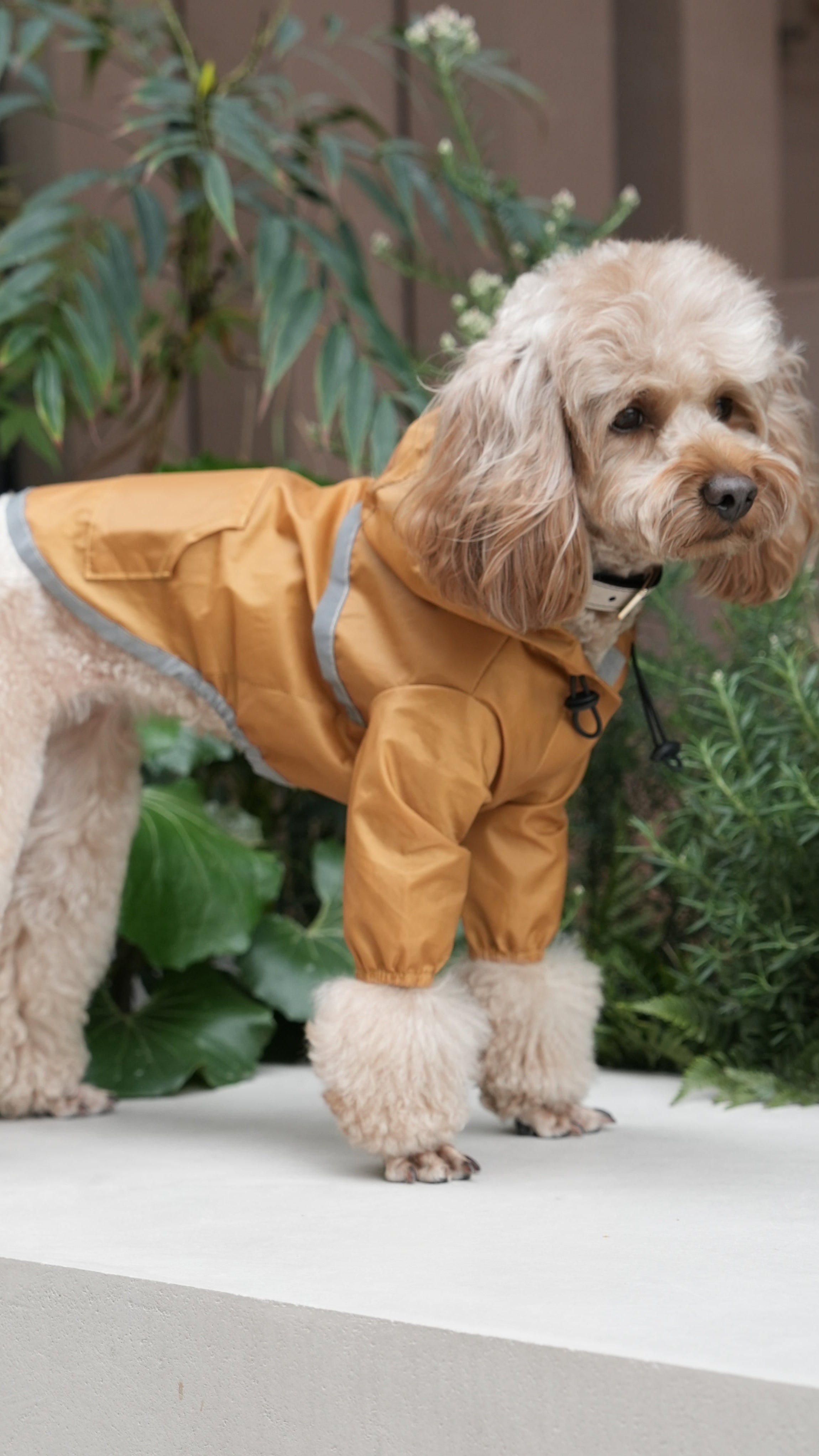 The Ultralight Waterproof Jacket – Yellow