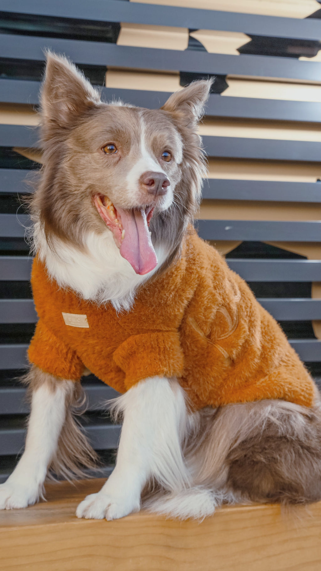 The Eskimo Sweater – Orange