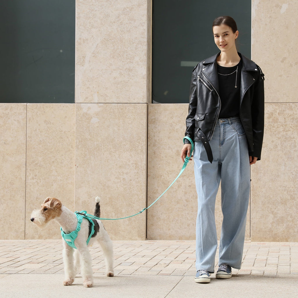 The Padded Active Leash – Mint Green