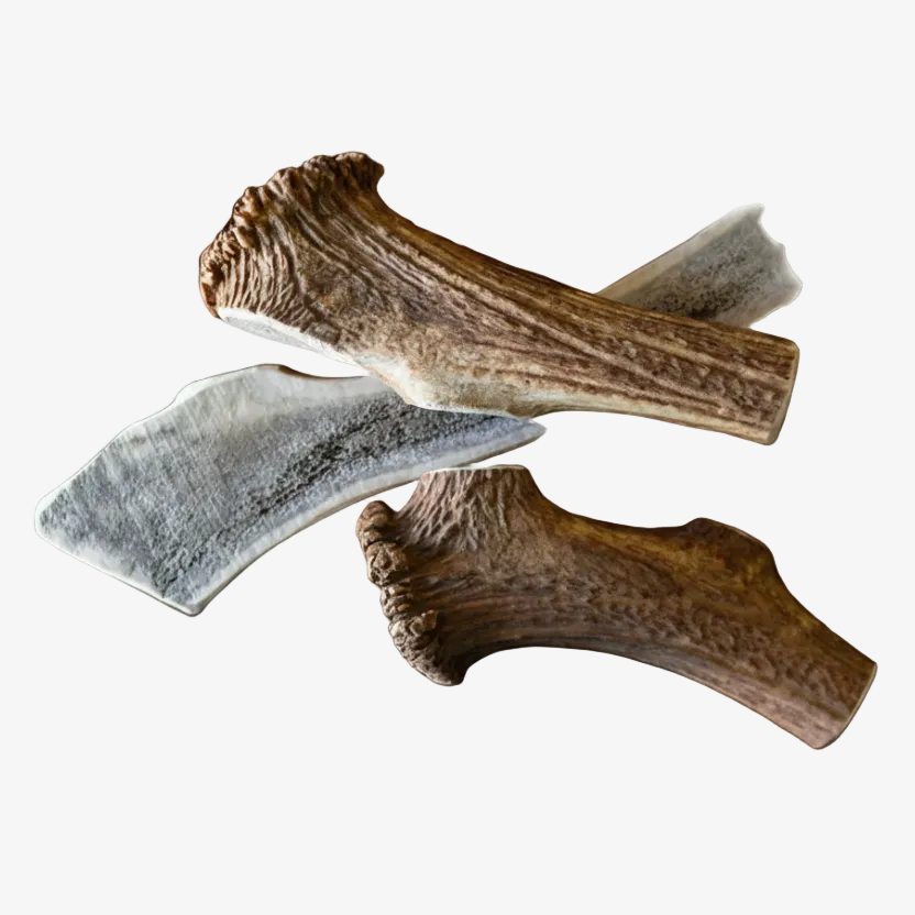 Jumbo Elk Chew