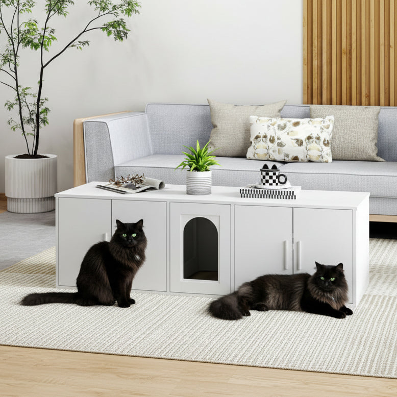 Two cats in a living room with a white pet door in a cabinet.