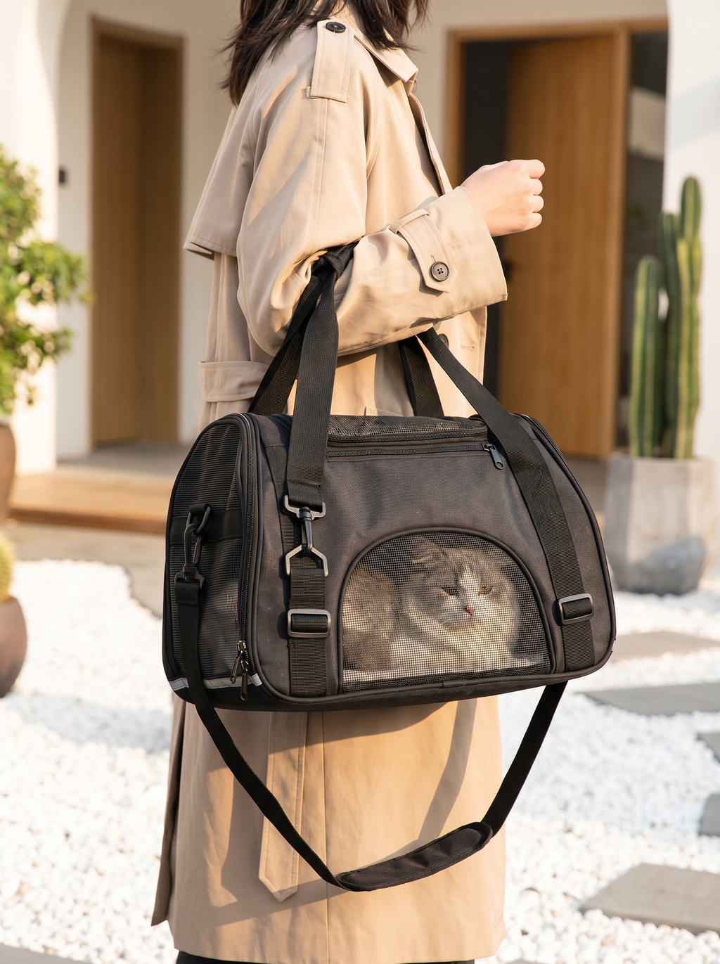 Pet carrier handbag