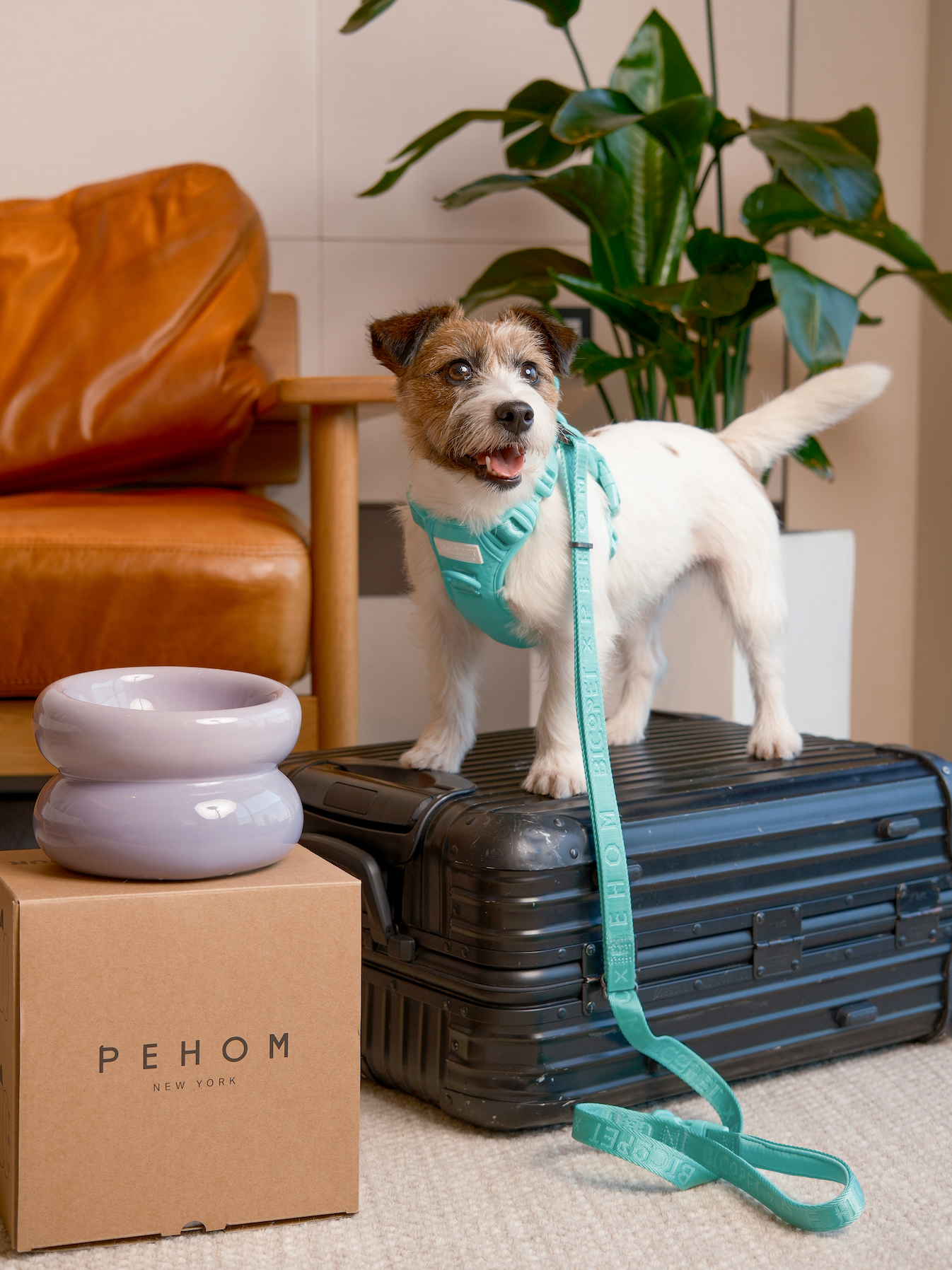 The Padded Active Leash – Mint Green