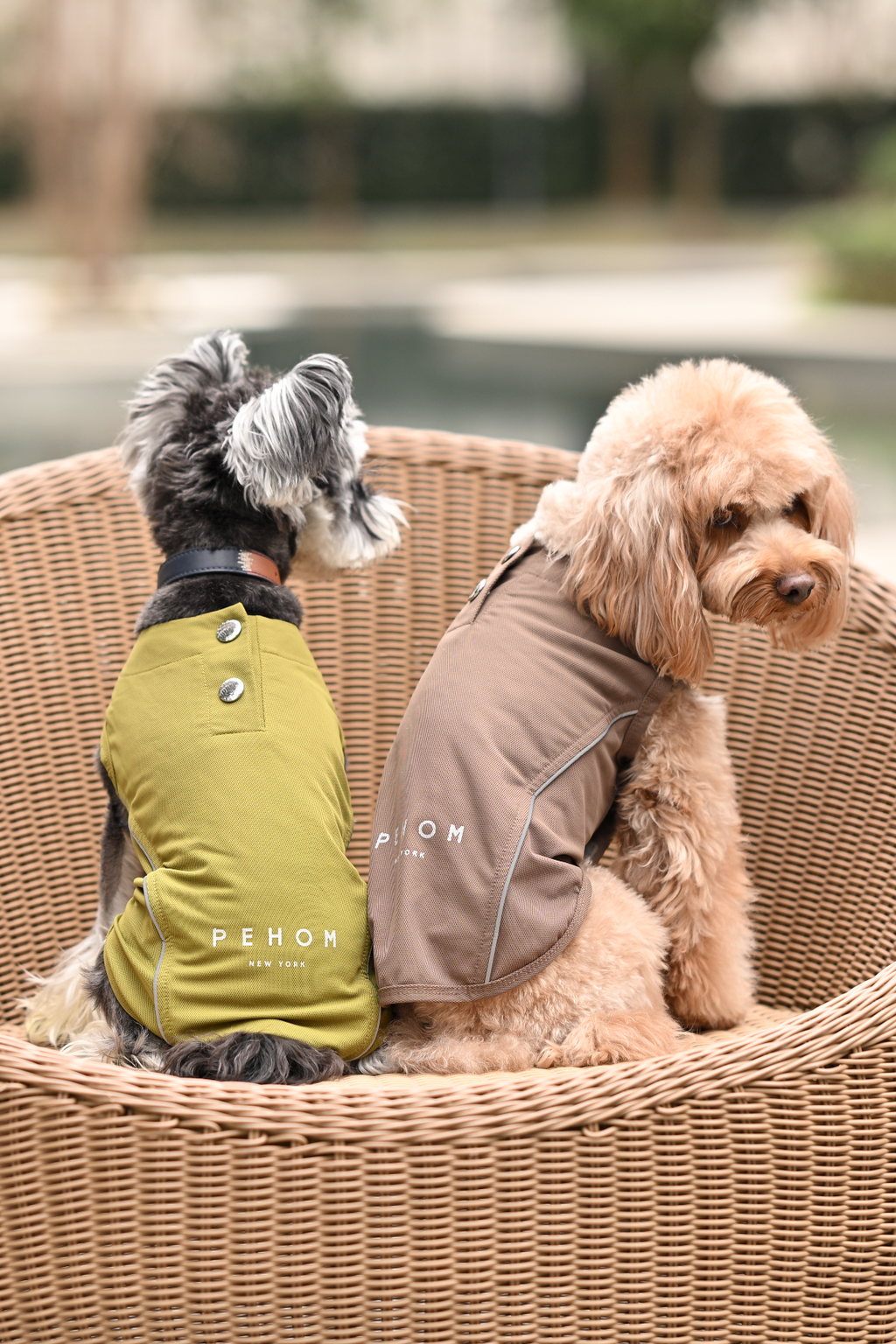 The Chill Vest – Mocha